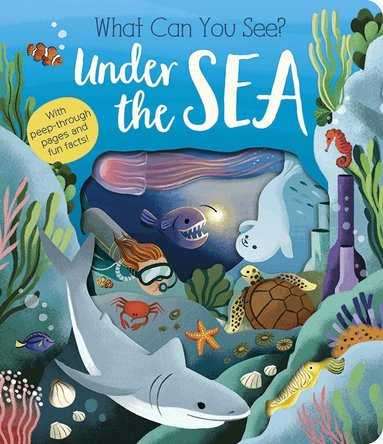 Molly Littleboy - What Can You See? Under the Sea, Kartonnage