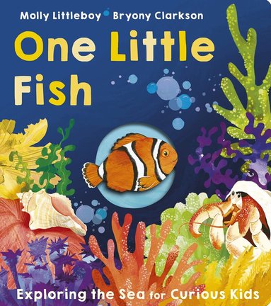 Molly Littleboy - One Little Fish, Kartonnage