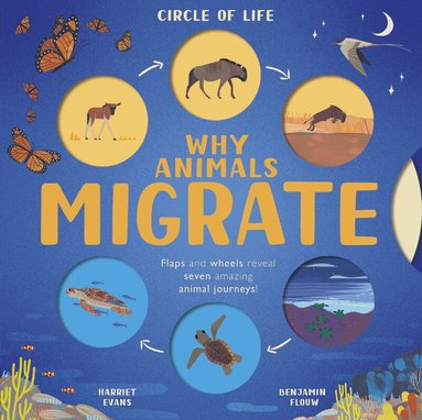 Harriet Evans - Why Animals Migrate, Kartonnage