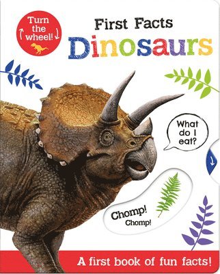 Georgie Taylor - First Facts Dinosaurs, Kartonnage