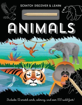 Animals 1