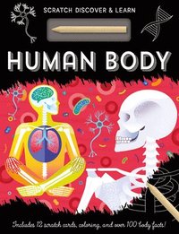 bokomslag Human Body