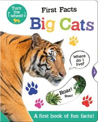 bokomslag First Facts Big Cats