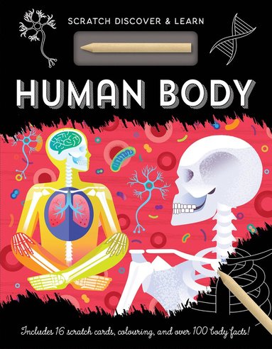 bokomslag Human Body