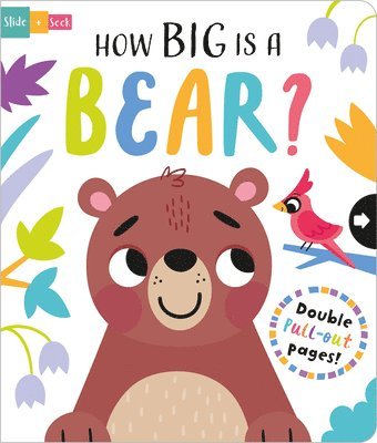 How Big is a Bear? 1