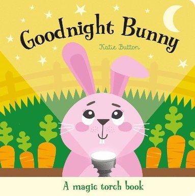 bokomslag Goodnight Bunny