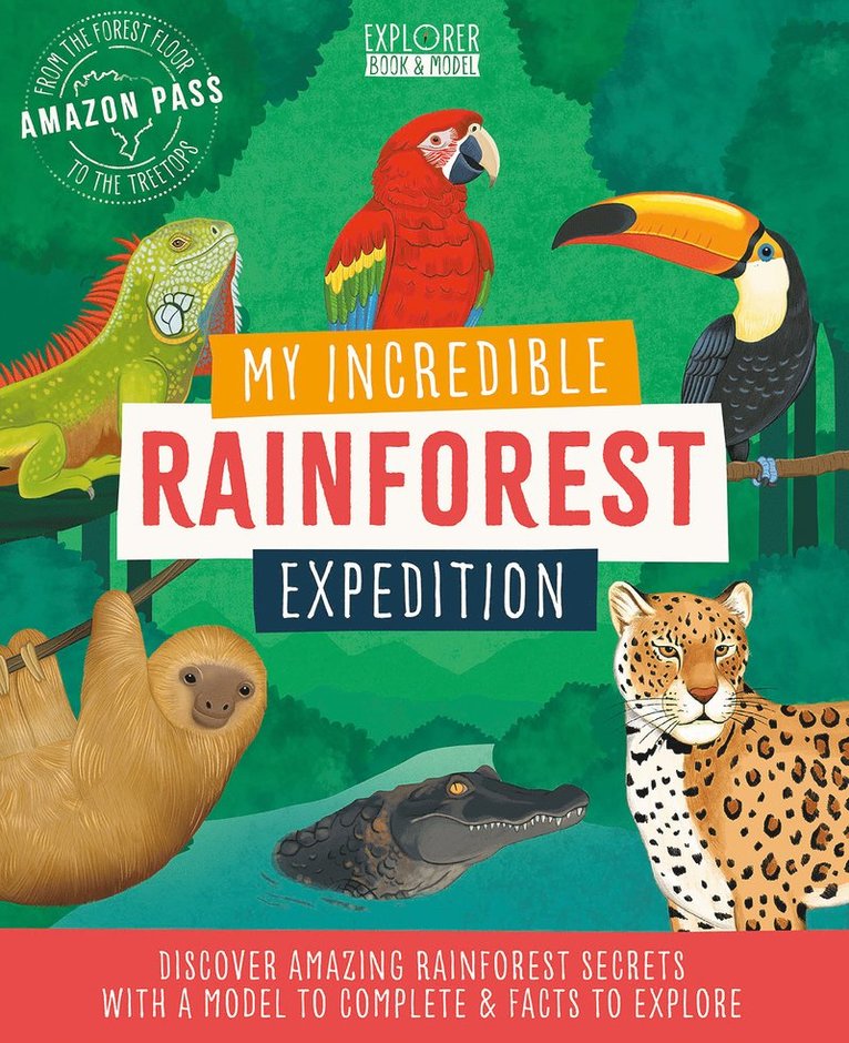 Susan Mayes - My Incredible Rainforest Expedition, Häftad