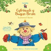 bokomslag Cyfres Cae Berllan: Cyfrinach y Bwgan Brain / Scarecrow's Secret