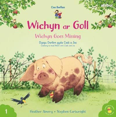 Cyfres Cae Berllan: Wichyn ar Goll / Wichyn Goes Missing 1