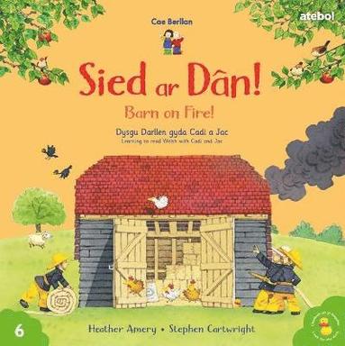 bokomslag Cyfres Cae Berllan: Sied ar Dn! / Barn on Fire!