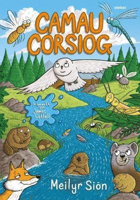 Meilyr Siôn - Camau Corsiog, Häftad