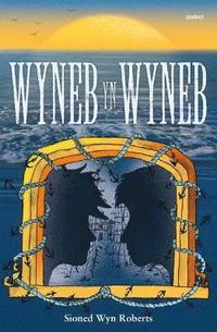 bokomslag Wyneb yn Wyneb