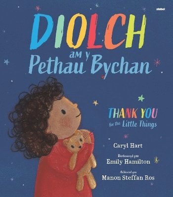 bokomslag Diolch am y Pethau Bychan / Thank you for the Little Things