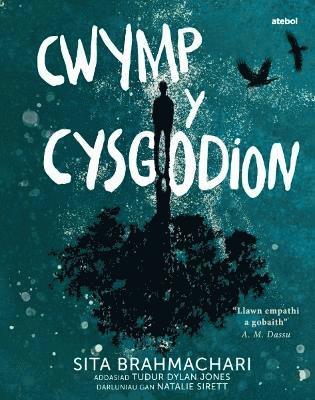 bokomslag Darllen yn Well: Cwymp y Cysgodion