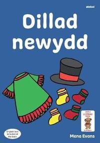 bokomslag Llyfrau Hwyl Magi Ann: Dillad Newydd