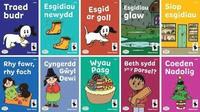 bokomslag Llyfrau Hwyl Magi Ann - Cam 4 Llyfrau Dicw