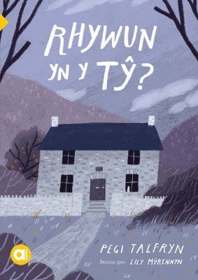 Pegi Talfryn - Cyfres Amdani: Rhywun yn y Tŷ?, Häftad
