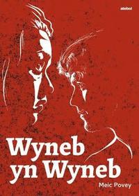 bokomslag Wyneb yn Wyneb (Drama)