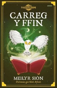 bokomslag Carreg y Ffin