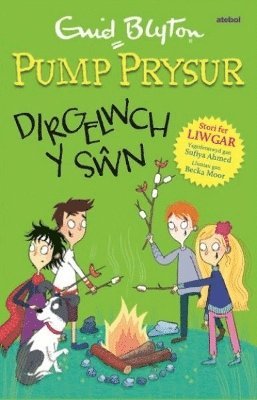 bokomslag Pump Prysur: Dirgelwch y S?n