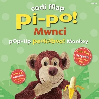 Codi Fflap Pi-po! Mwnci / Pop-up Peekaboo! Monkey 1