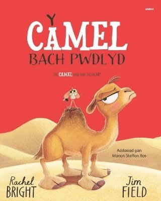 bokomslag Y Camel Bach Pwdlyd / The Camel who had the hump