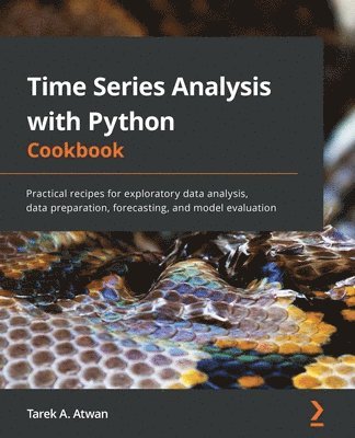 bokomslag Time Series Analysis with Python Cookbook