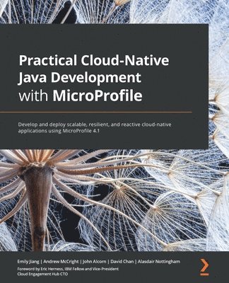 bokomslag Practical Cloud-Native Java Development with MicroProfile