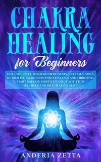 bokomslag Chakra Healing for Beginners