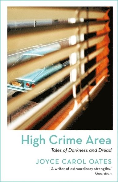 bokomslag High Crime Area