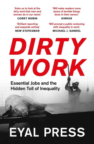 bokomslag Dirty Work