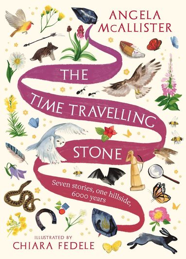 bokomslag Time Travelling Stone