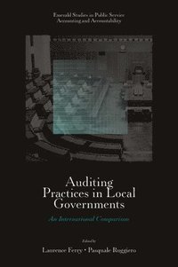 bokomslag Auditing Practices in Local Governments