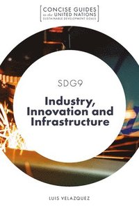 bokomslag SDG9 - Industry, Innovation and Infrastructure