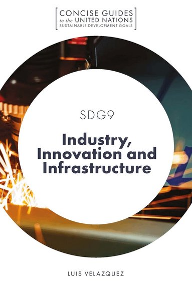Luis Velazquez, Walter Leal Filho - SDG9 - Industry, Innovation and Infrastructure, Häftad
