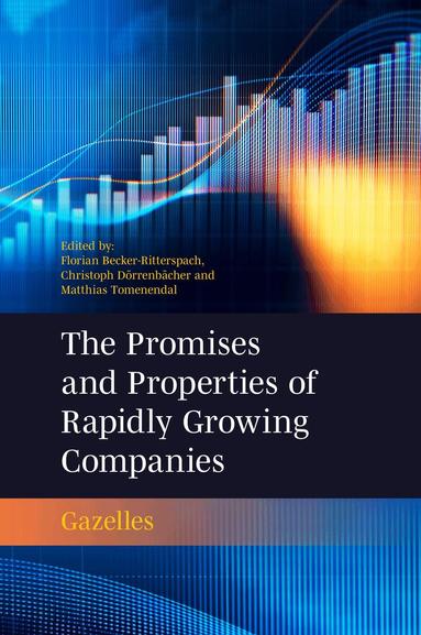 Florian Becker-Ritterspach, Christoph Dörrenbächer, Matthias Tomenendal - Promises and Properties of Rapidly Growing Companies, Inbunden