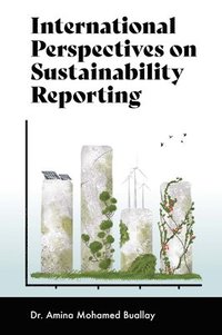 bokomslag International Perspectives on Sustainability Reporting