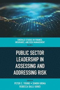 bokomslag Public Sector Leadership in Assessing and Addressing Risk