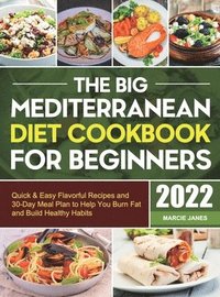 bokomslag Big Mediterranean Diet Cookbook for Beginners