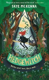 bokomslag Hedgewitch