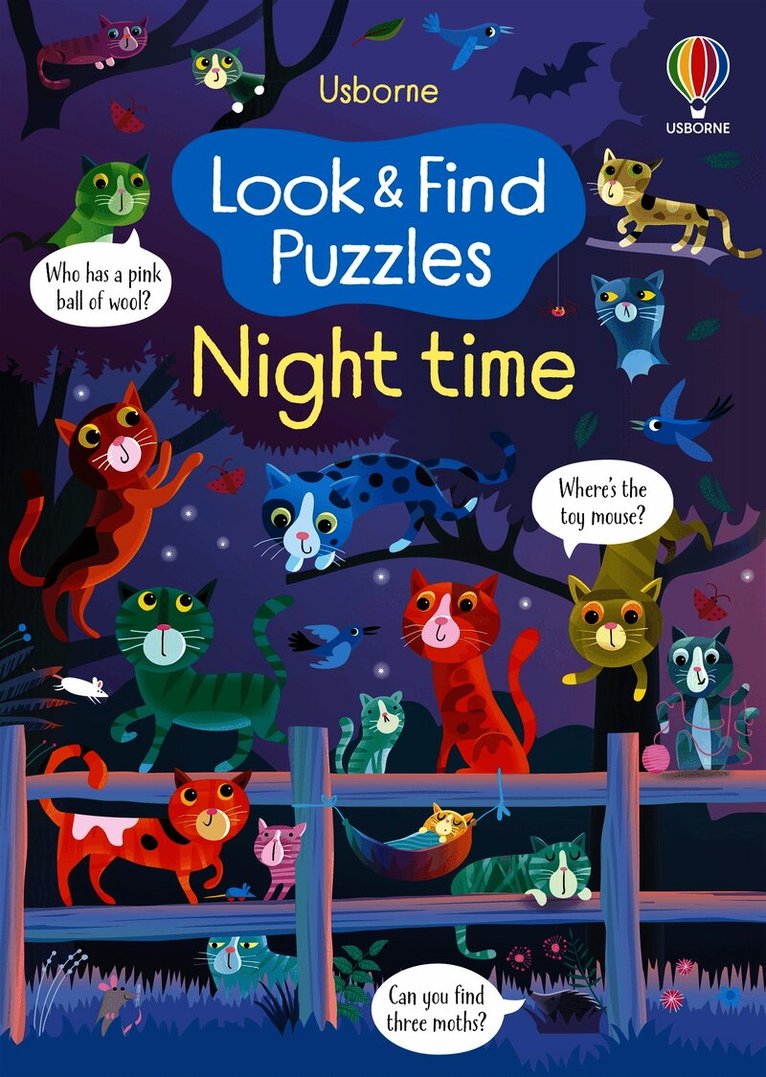 Look and Find Puzzles Night time
