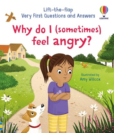 Katie Daynes - Very First Questions and Answers: Why do I (sometimes) feel angry?, Kartonnage