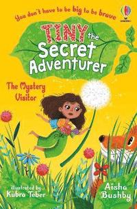 bokomslag Tiny the Secret Adventurer: The Mystery Visitor
