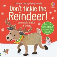 bokomslag Don't Tickle the Reindeer!