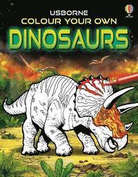 bokomslag Colour Your Own Dinosaurs