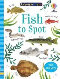 bokomslag Fish to Spot
