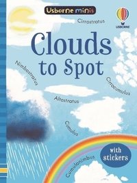 bokomslag Clouds to Spot