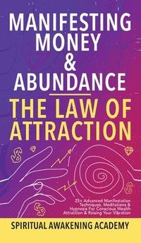 bokomslag Manifesting Money & Abundance Blueprint - The Law Of Attraction