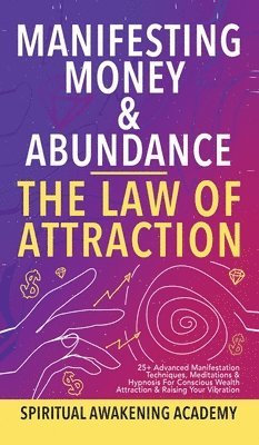 Manifesting Money & Abundance Blueprint - The Law Of Attraction 1