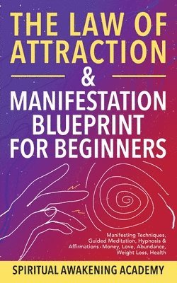 bokomslag The Law Of Attraction & Manifestation Blueprint For Beginners